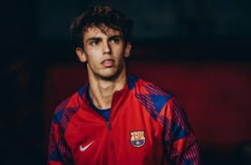 神经药理学：一种新型神经肽拮抗剂在缓解赌博成瘾模型中的初步实验室表现。（神经药理学：新型神经肽拮抗剂缓解赌博成瘾模型的初步实验室证据）